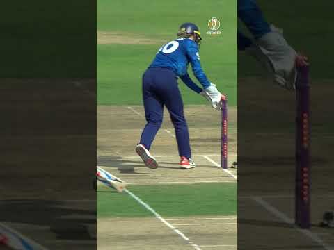 Stunning catches and pinpoint run-outs make our @emirates Fly Better package for today 😍 #CWC25