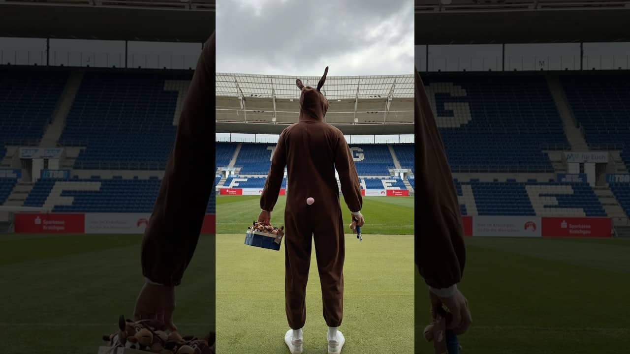 😍 Hoffi-Suche am Spieltag 🪺🫎 #Hoffenheim