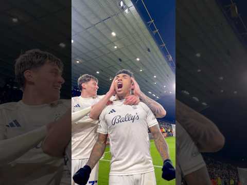 Igor Jesus scores first Premier League goal! 🇧🇷