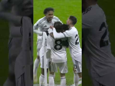 HARRY WILSON SEALS FULHAM'S WIN 🎯