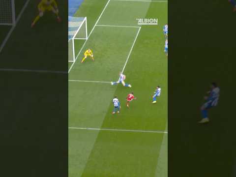 SOLID Wall | Dunk And van Hecke 🧱 #lewisdunk #vanhecke #brightonandhovealbion #defence