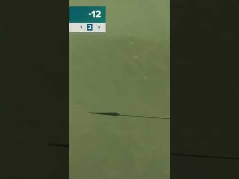 ADAM SCOTT FROM DEEP 🤯🎯