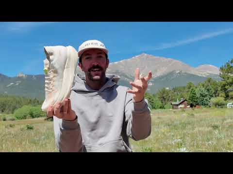 New ASICS Trail Racing Prototype