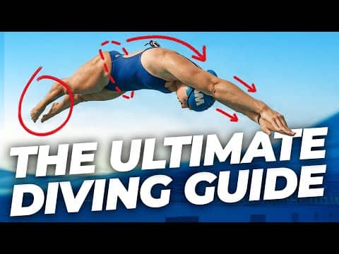 Everything You Need To Know About Dives