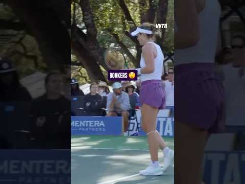 Entertainment in Austin between McNally & Krueger! 📺 #ATXOpen