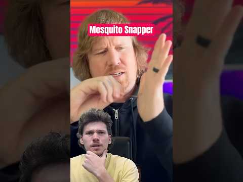 How To Make Mosquito Snapper!