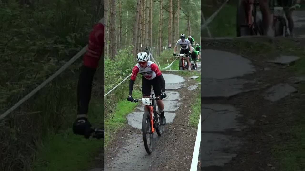 The Scalpel LOOKIN' swift 🔥 #shorts #mtb