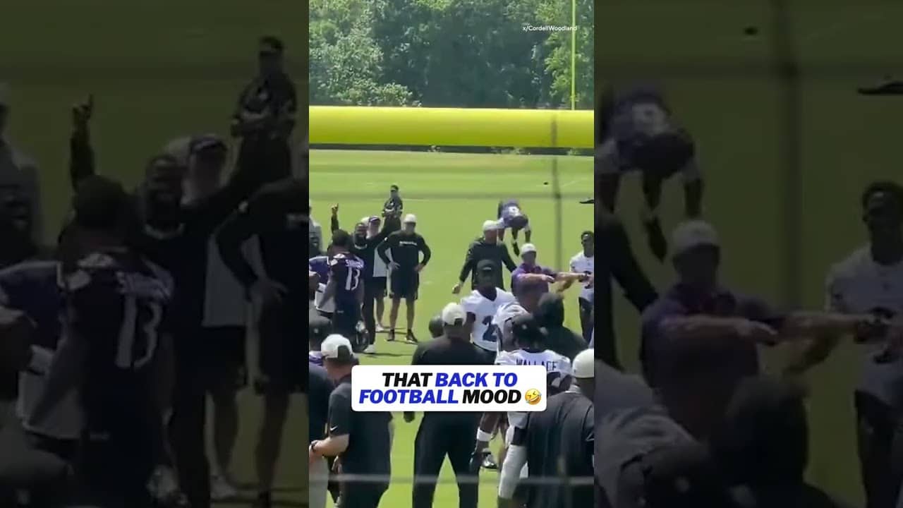Literally flipping out #nfl #football #ravens