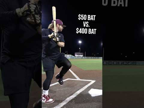 We bought the CHEAPEST Wood Bat we could find...