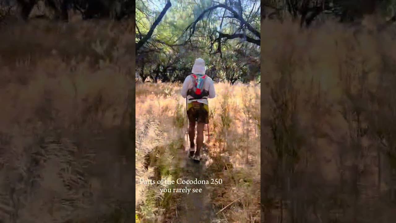 Serene part of the Cocodona 250 course - mile 132 coming in to Dead Horse aid station