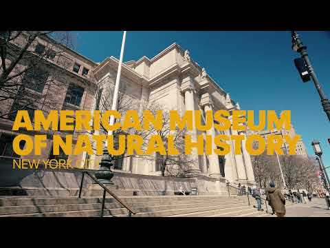 Nick Gonzales and Spencer Horwitz Explore the American Museum of Natural History in NYC