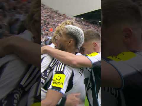 Nick Woltemade is at home at Newcastle ❤️