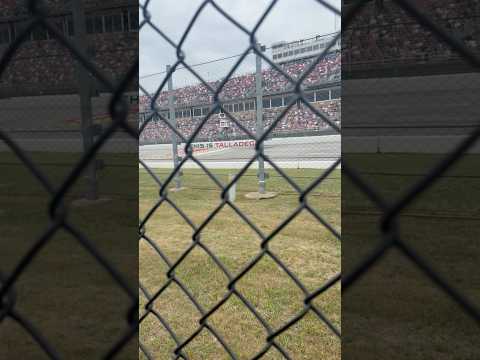 Just Cleetus leading at Dega