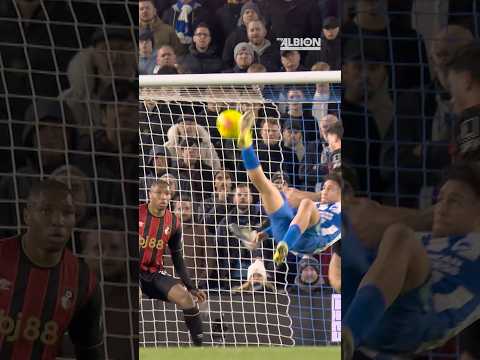 An OUTRAGEOUS Equaliser From Kostoulas! 😱🇬🇷 #brightonandhovealbion #premierleague #kostoulas