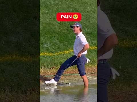 The Bear Trap’s newest victim 😬