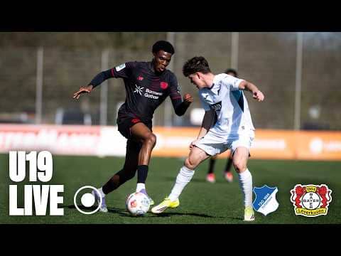LIVE: TSG Hoffenheim U19 🆚 Bayer 04 Leverkusen U19 | DFB-Nachwuchsliga, 9. Spieltag
