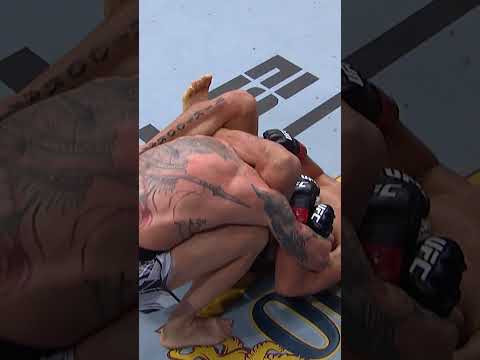 What a way to finish him! #ufcwinnipeg