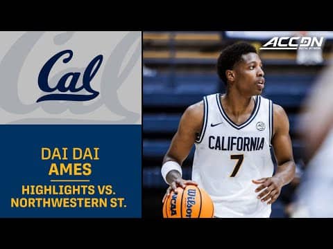 Cal's Dai Dai Ames Highlights vs. Northwestern State