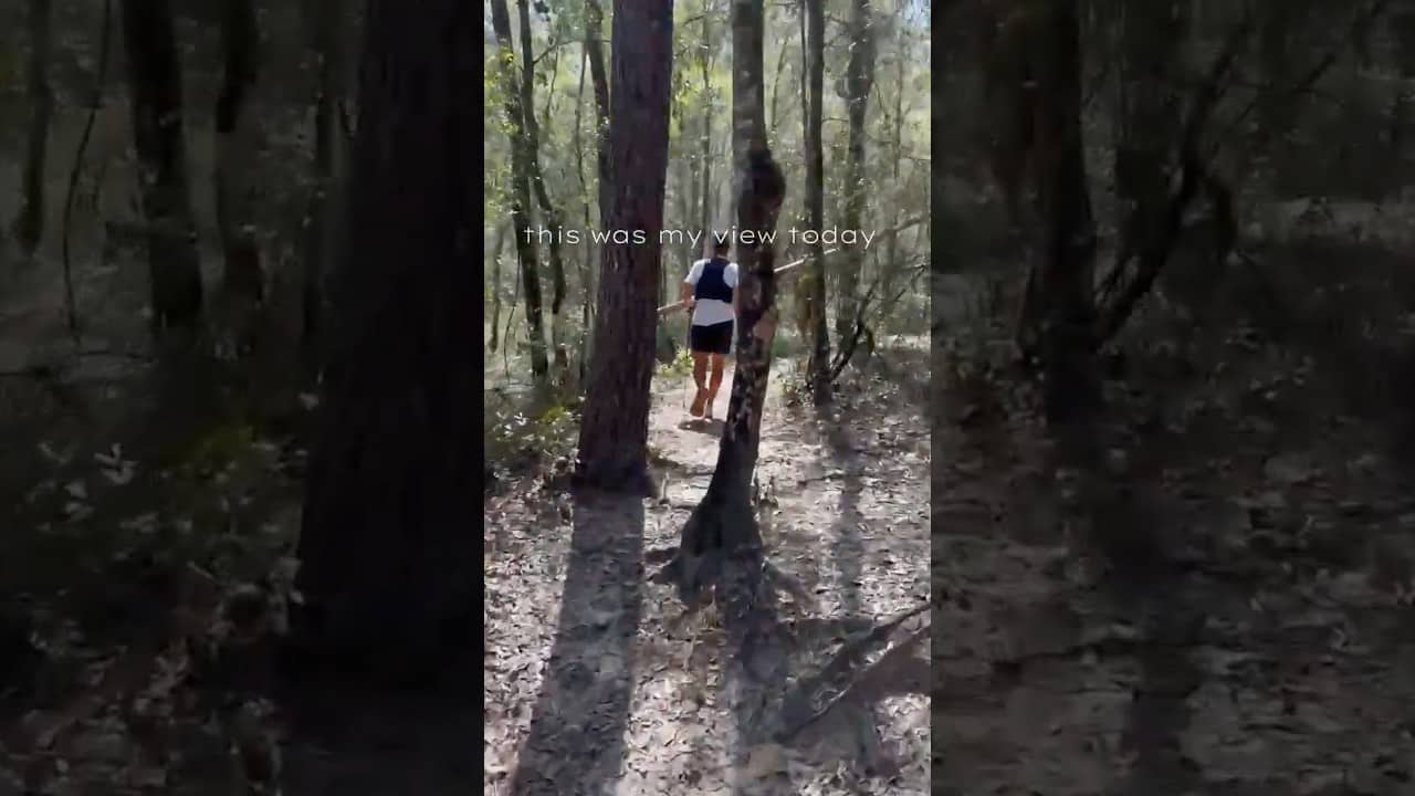How was your View today #ultrarunning #runner