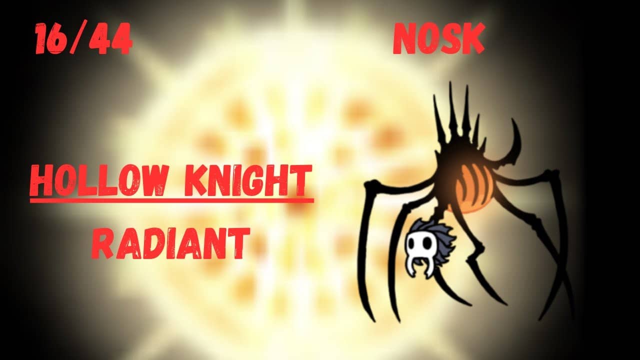 Hollow Knight | Nosk | Radiant