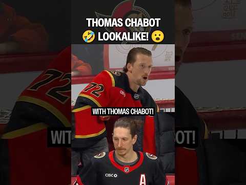 Chabot... or Cha-NOT?! 😳