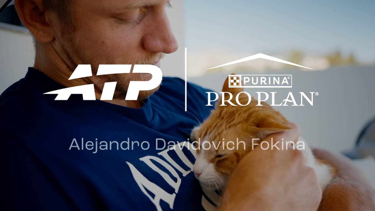 Success starts off the court 🎾🐱 | Davidovich Fokina x Purina Pro Plan