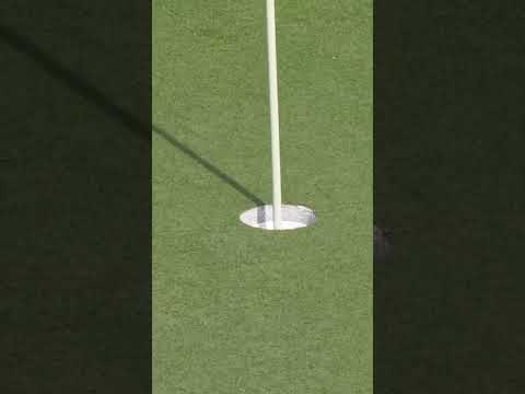 Kristoffer Reitan pulls off the Texas wedge in style at the Truist Championship.