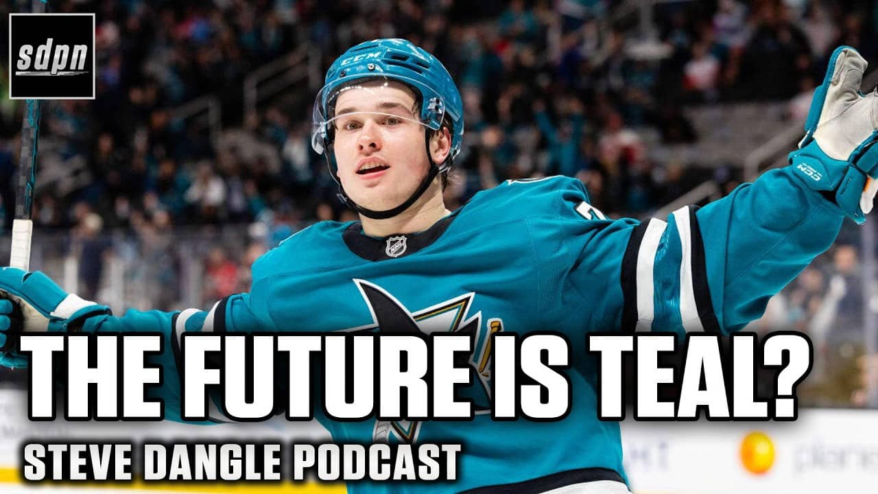 Breaking Down The Sharks Free-Agent Acquisitions | SDP