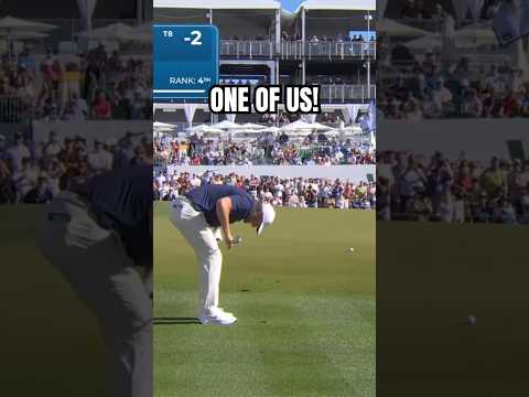 BREAKING: Scottie Scheffler is human.