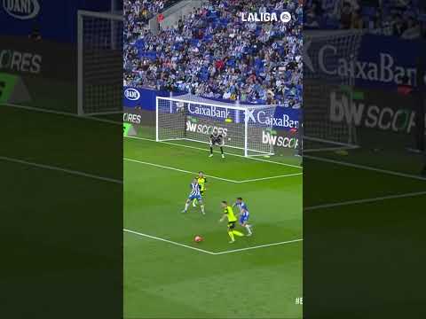 Espera un momento 🧐🤨