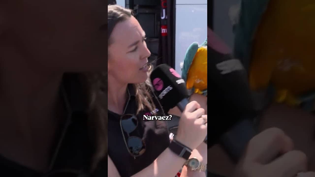 Hannah Walker: Broadcaster. Footballer. Bird whisperer 🦜 🎤