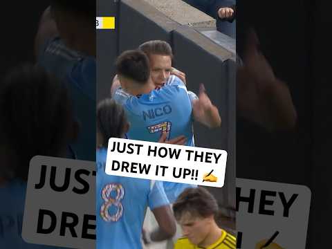 Hannes Wolf 🐺 RIGHT PLACE RIGHT TIME for NYCFC!!