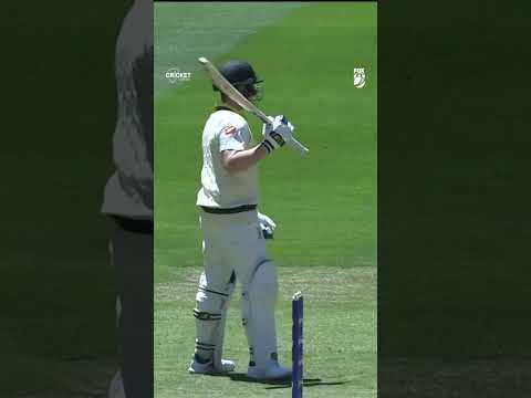 Hilarious Smith gives it back to a puzzled Josh Tongue #Ashes