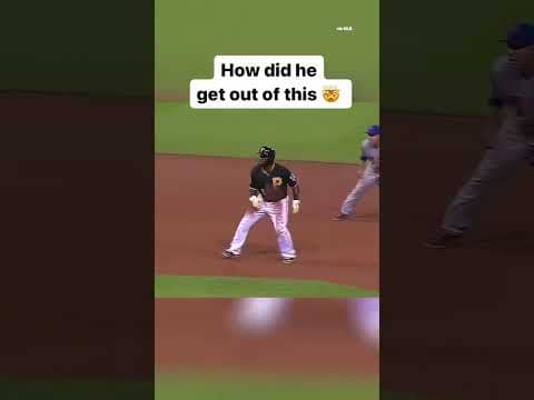 He’d make an elite professional tag player 🤣 #shorts