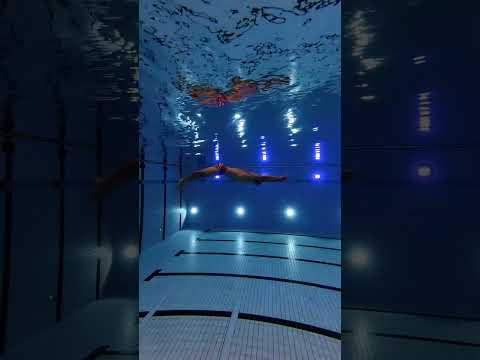 The breaststroke pullout is comprised of three propulsive phases, the first being the dolphin kick.