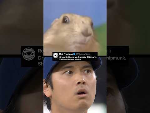Shohei apparently getting a very dramatic pitch call on pitchcom 😂