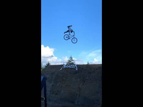 When Your Buddy screams 'DO IT!!!' 👊