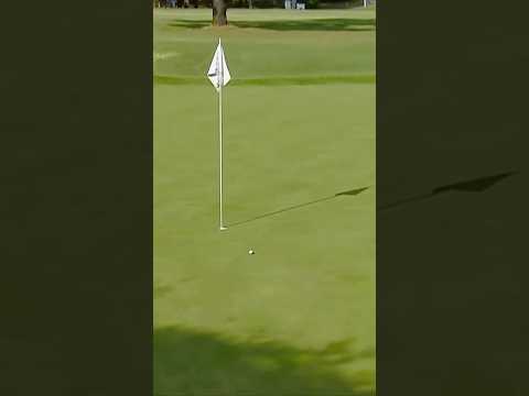 SIX birdies in a day?! 🐦 💪