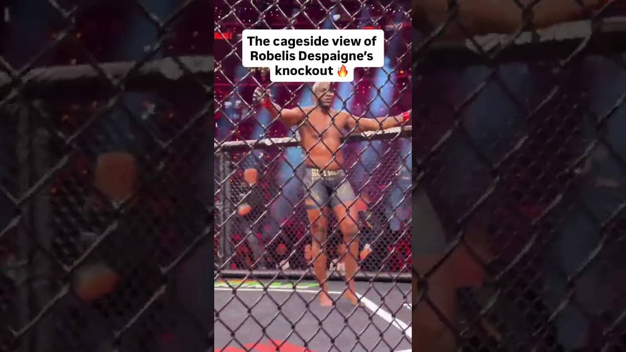 The cageside view of Robelis Despaigne’s knockout of Junior dos Santos 🔥 #mma #mixedmartialarts