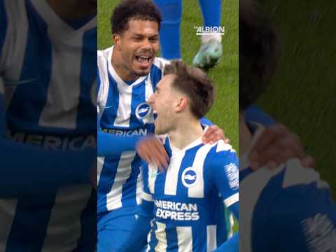 Brajan Puts Us In Front! 💪 #brightonandhovealbion #facup #gruda