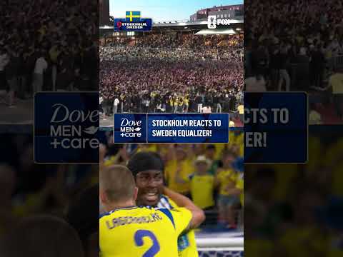 SCENES IN STOCKHOLM 🗣️