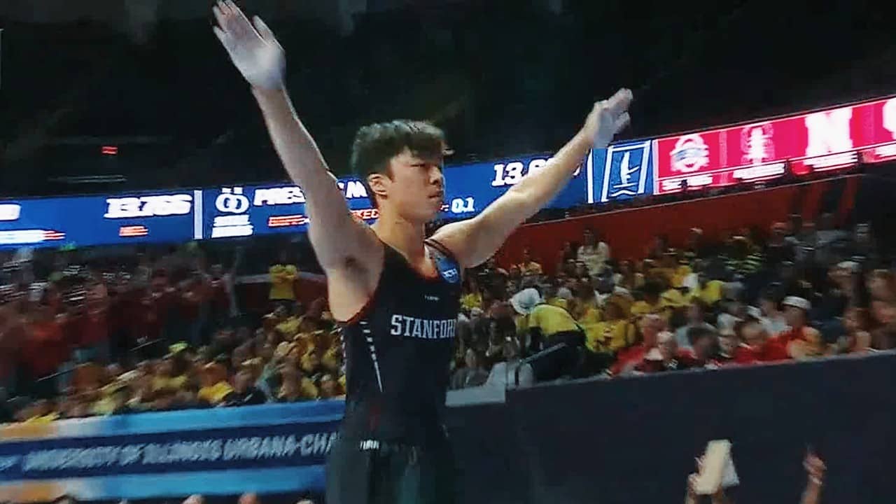 Junnosuke Iwai - Vault co-champion at 2026 men's gymnastics championships