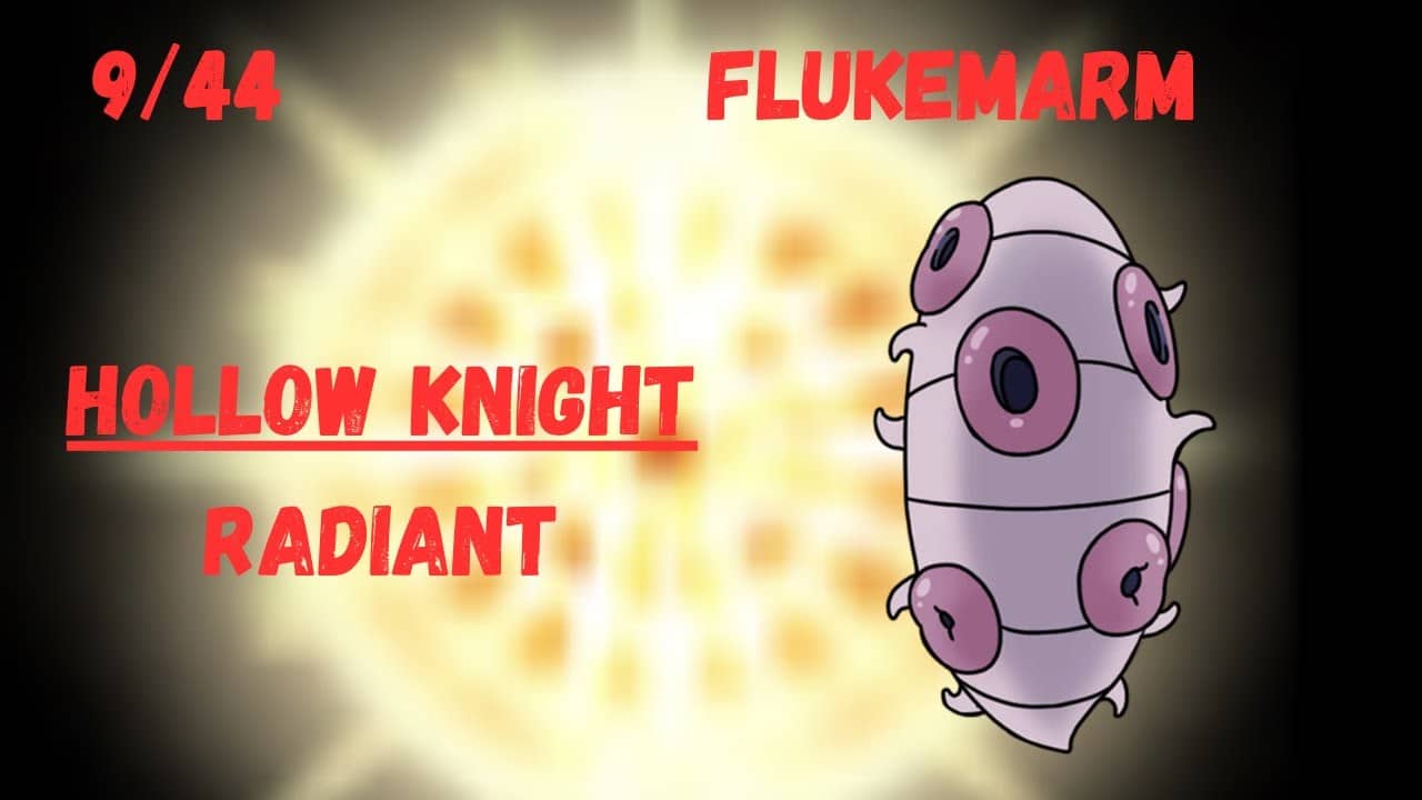 Hollow Knight | Flukemarm | Radiant