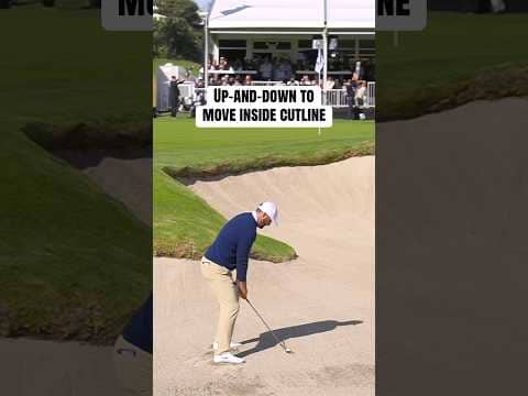 SCOTTIE'S MAKES THE CUT! 😤