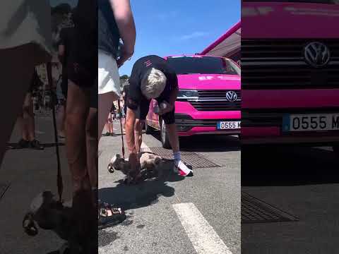 Celebrating International Dog Day with THE icon of the 2025 Tour de France: Ben Healy’s dog Olive 🥰🐶