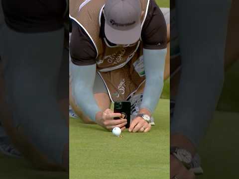 Play it where it lies!
