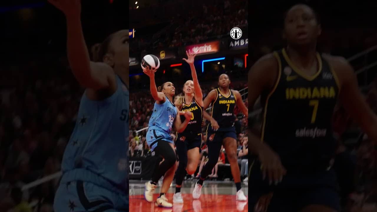 A DAWG 🙂‍↕️  #skytown  #chicagosky