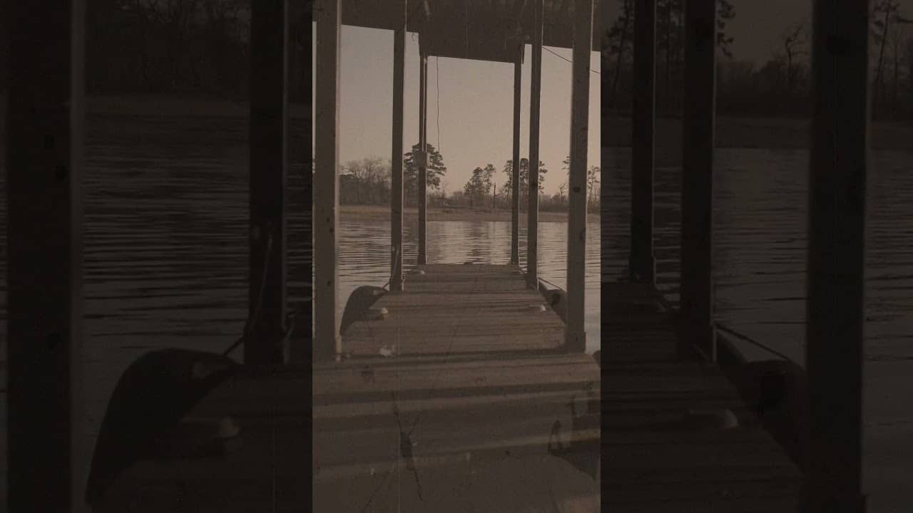 The Disappearance of Bill Roland