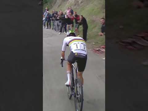 A champion on and off the bike 💛 Even on his way to victory,Pogacar finds time to make a fan’s day 👏