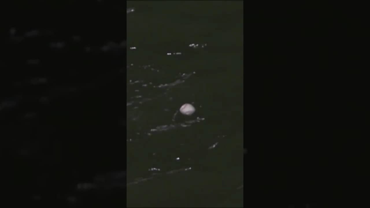 This Jung Hoo Lee home run was INCHES away from splashing straight into McCovey Cove
